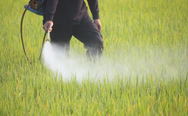 Pesticidi nei campi