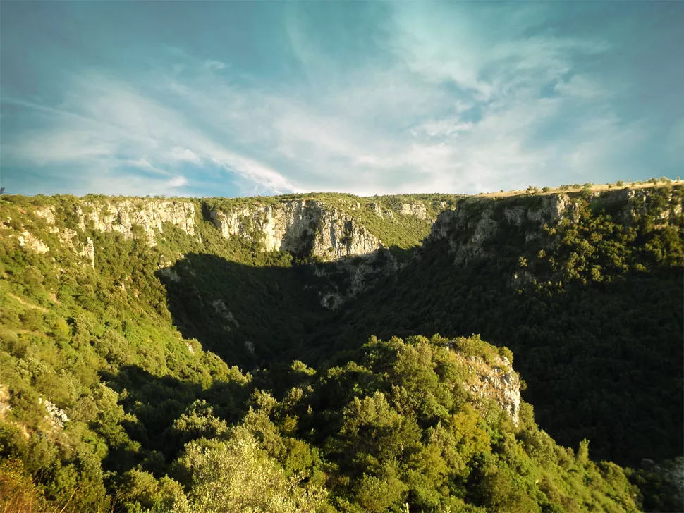 Dettaglio sulla natura dell'Oasi Gravina di Laterza