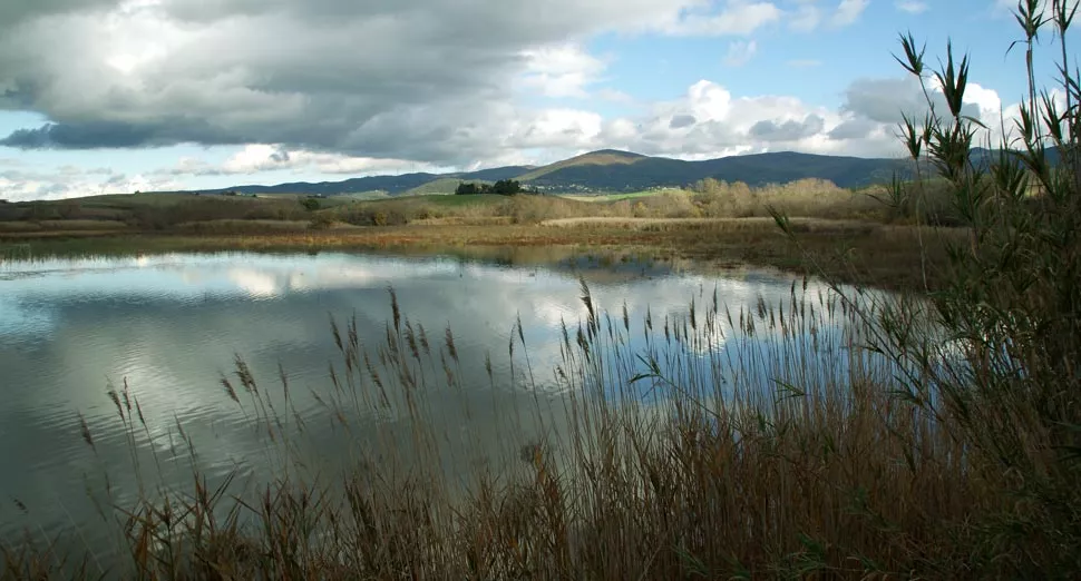 Il lago della Riserva naturale Santa Luce