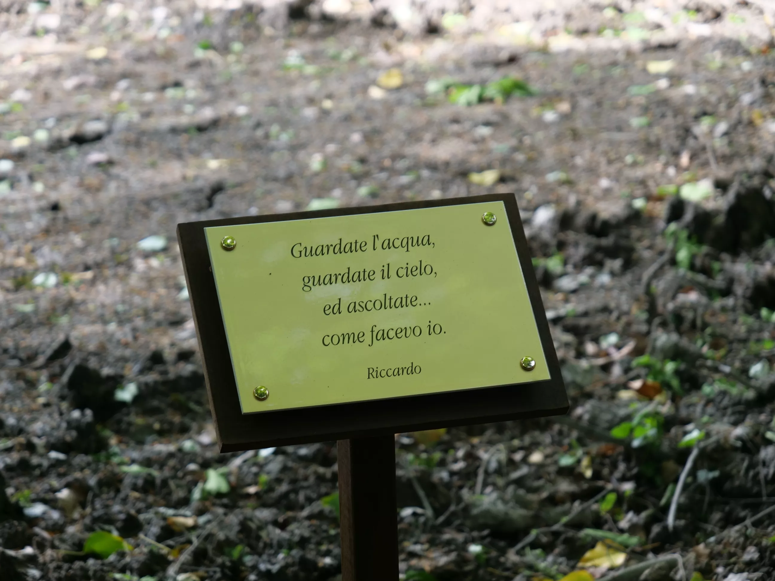 La frase di Riccardo