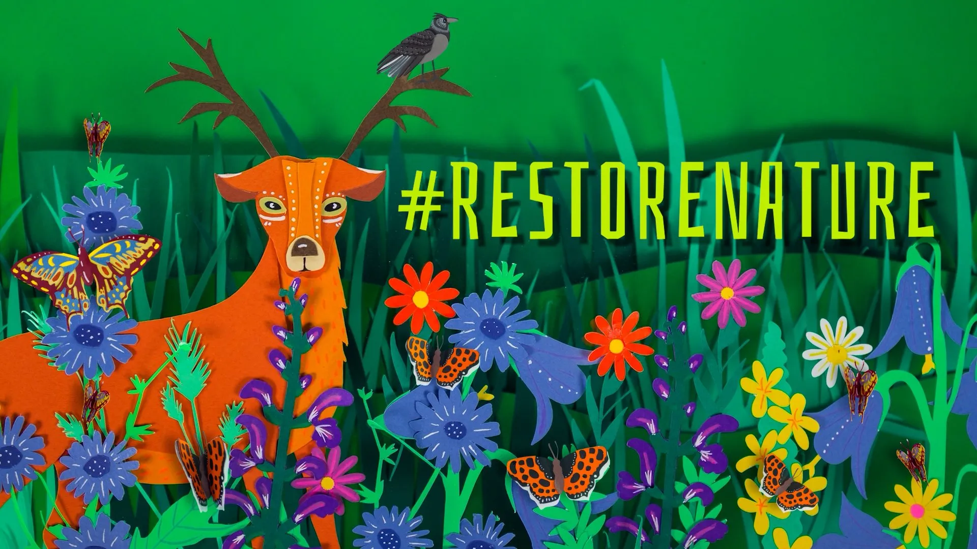 Un'immagine della campagna europea #Restorenature