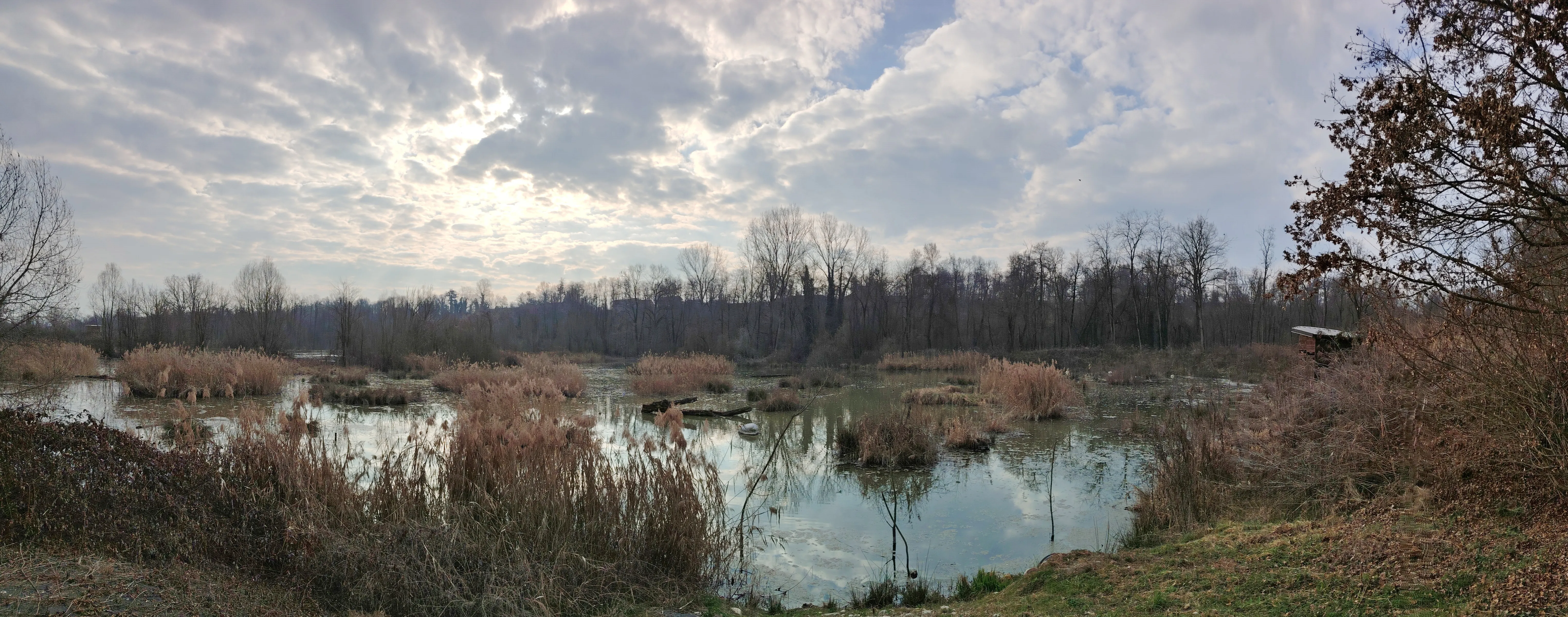 Stagno Bertero, Riserva naturale Crava Morozzo (Cn)