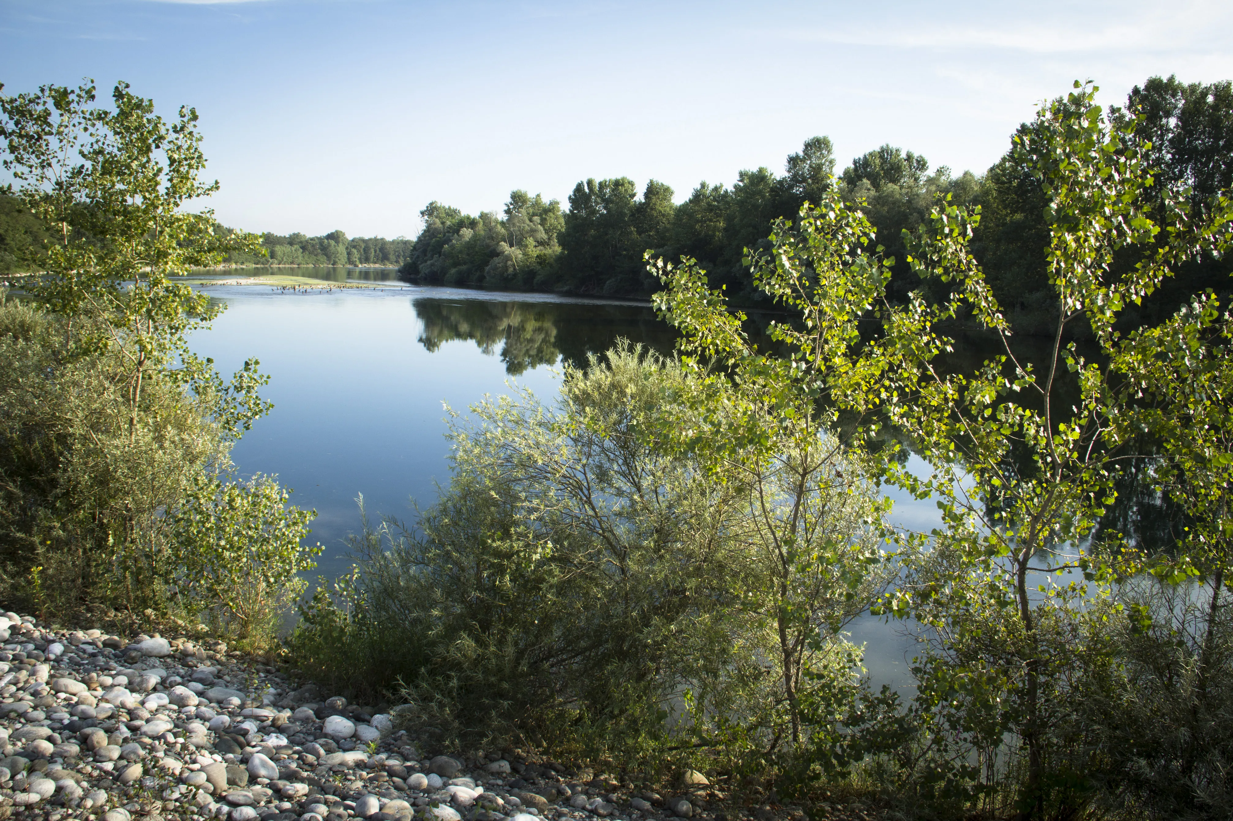Parco del Ticino 