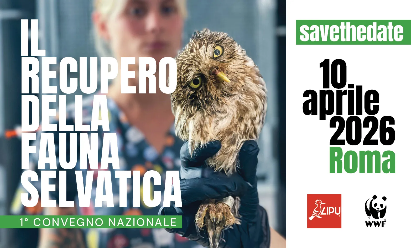 Convegno nazionale recupero fauna selvatica